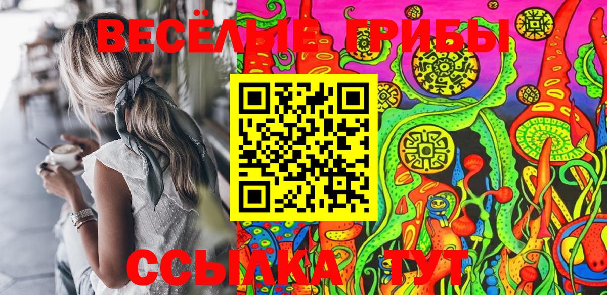 Галлюциногенные грибы Magic Shrooms Вятские Поляны