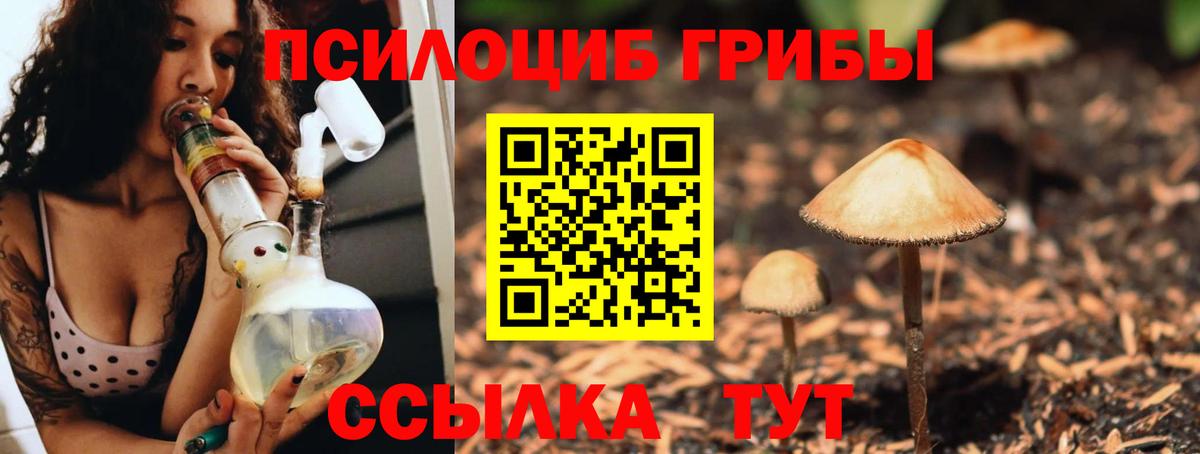 купить наркоту  Галлюциногенные грибы мухоморы  Вход с VPN  Вятские Поляны 