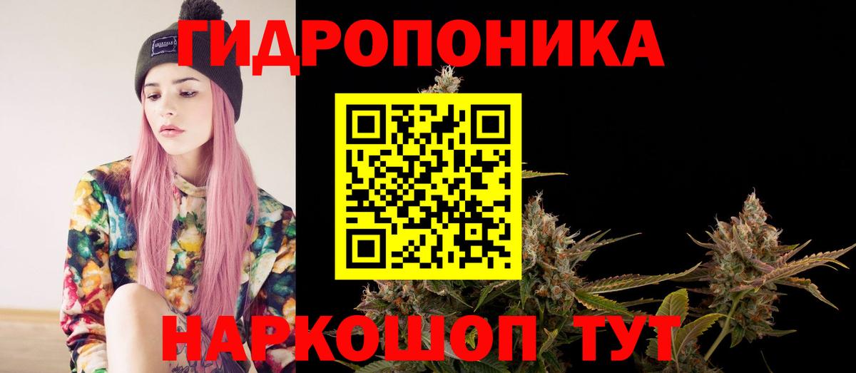 Бошки Шишки семена Вятские Поляны